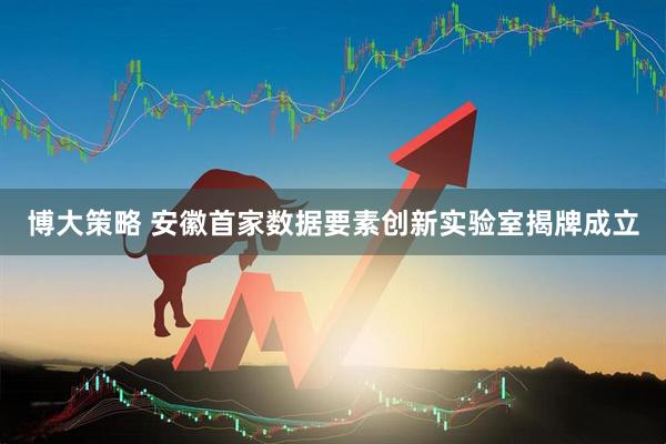 博大策略 安徽首家数据要素创新实验室揭牌成立