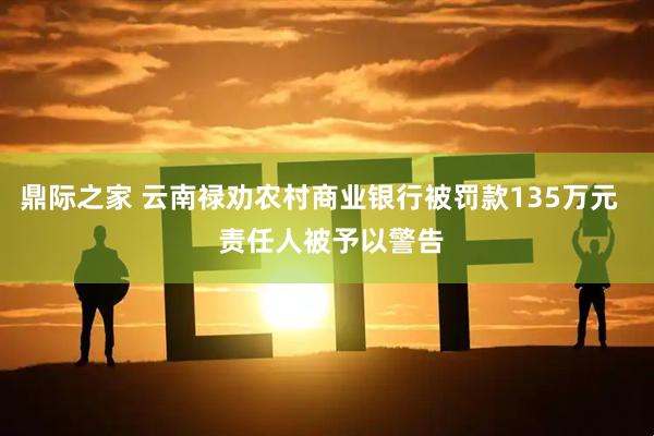 鼎际之家 云南禄劝农村商业银行被罚款135万元   责任人被予以警告