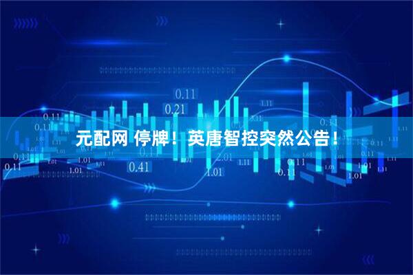 元配网 停牌！英唐智控突然公告！