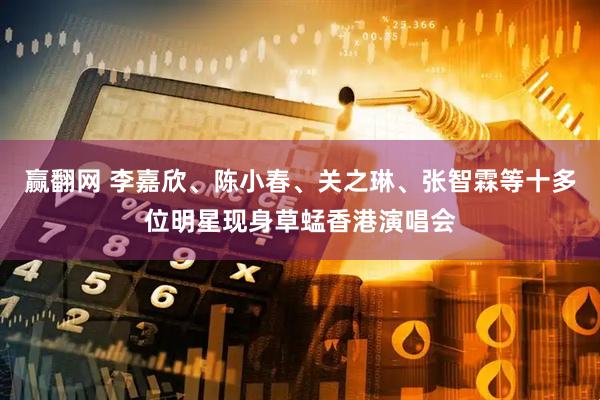 赢翻网 李嘉欣、陈小春、关之琳、张智霖等十多位明星现身草蜢香港演唱会